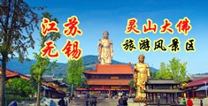 大鸡巴捅黑丝美女江苏无锡灵山大佛旅游风景区